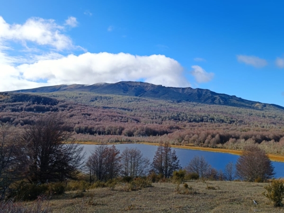 Coyhaique | 397 Há Cerro Galera