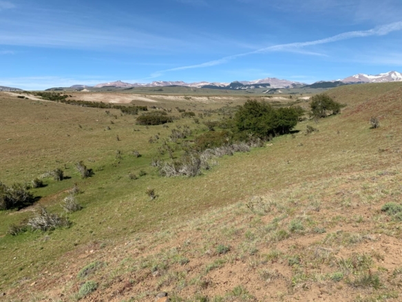 Coyhaique | 474 ha – 15 km aeropuerto Balmaceda