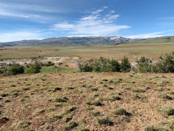 Coyhaique | 474 ha – 15 km aeropuerto Balmaceda