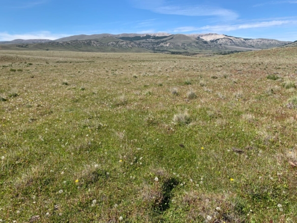 Coyhaique | 474 ha – 15 km aeropuerto Balmaceda