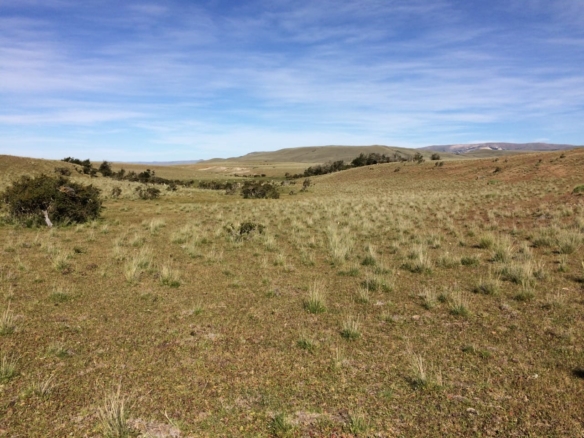 Coyhaique | 474 ha – 15 km aeropuerto Balmaceda