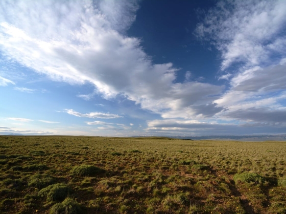 Coyhaique | 474 ha – 15 km aeropuerto Balmaceda