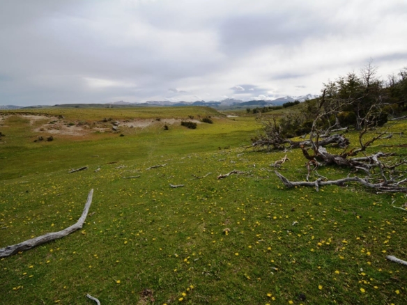 Coyhaique | 474 ha – 15 km aeropuerto Balmaceda