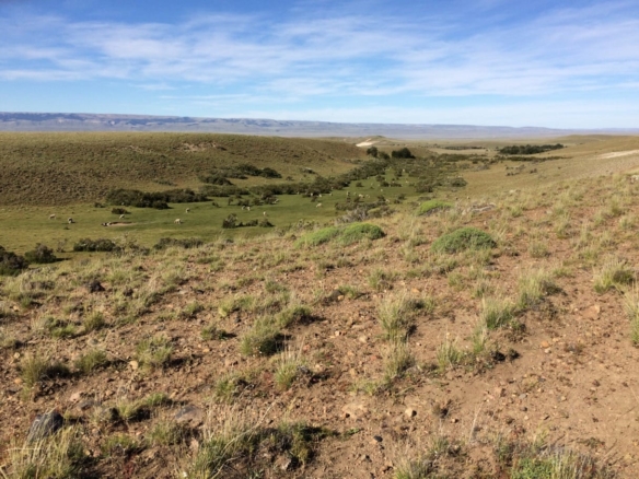 Coyhaique | 474 ha – 15 km aeropuerto Balmaceda