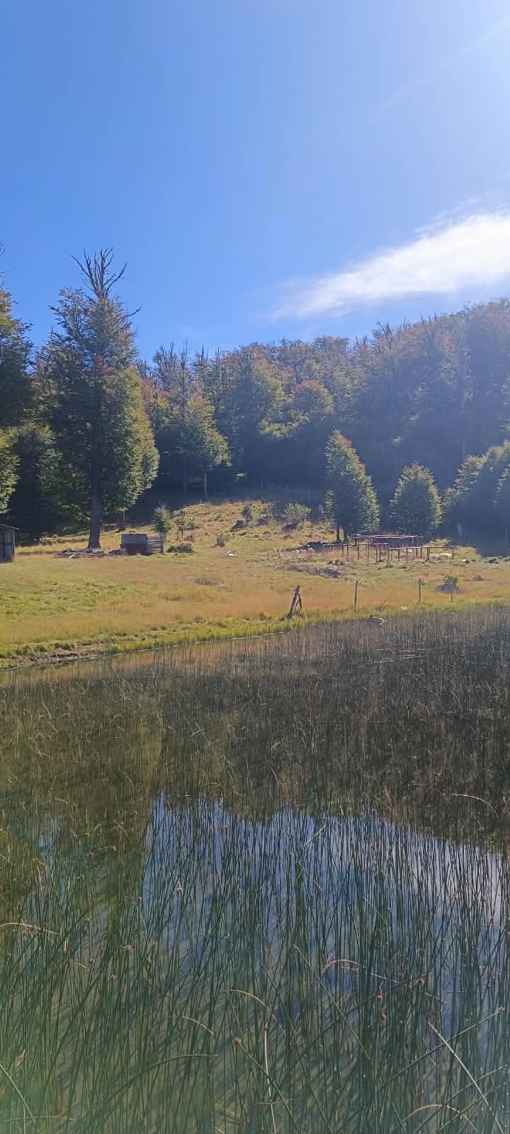 Coyhaique | 2 ha con 100 m orilla Lago Pollux
