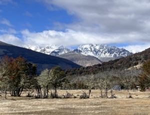 Mallin Grande | Puerto Guadal – 8,8 ha
