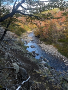 Coyhaique | Campo de 50 hectáreas a 32 km de Coyhaique
