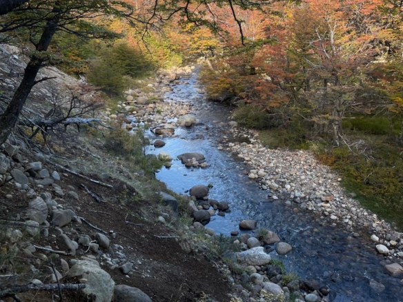Coyhaique | Campo de 50 hectáreas a 32 km de Coyhaique