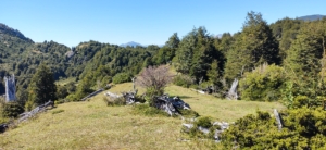 Coyhaique | 40 hectáreas cercanas a Lago Atravesado – Lago Barroso