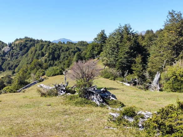 Coyhaique | 40 hectáreas cercanas a Lago Atravesado – Lago Barroso