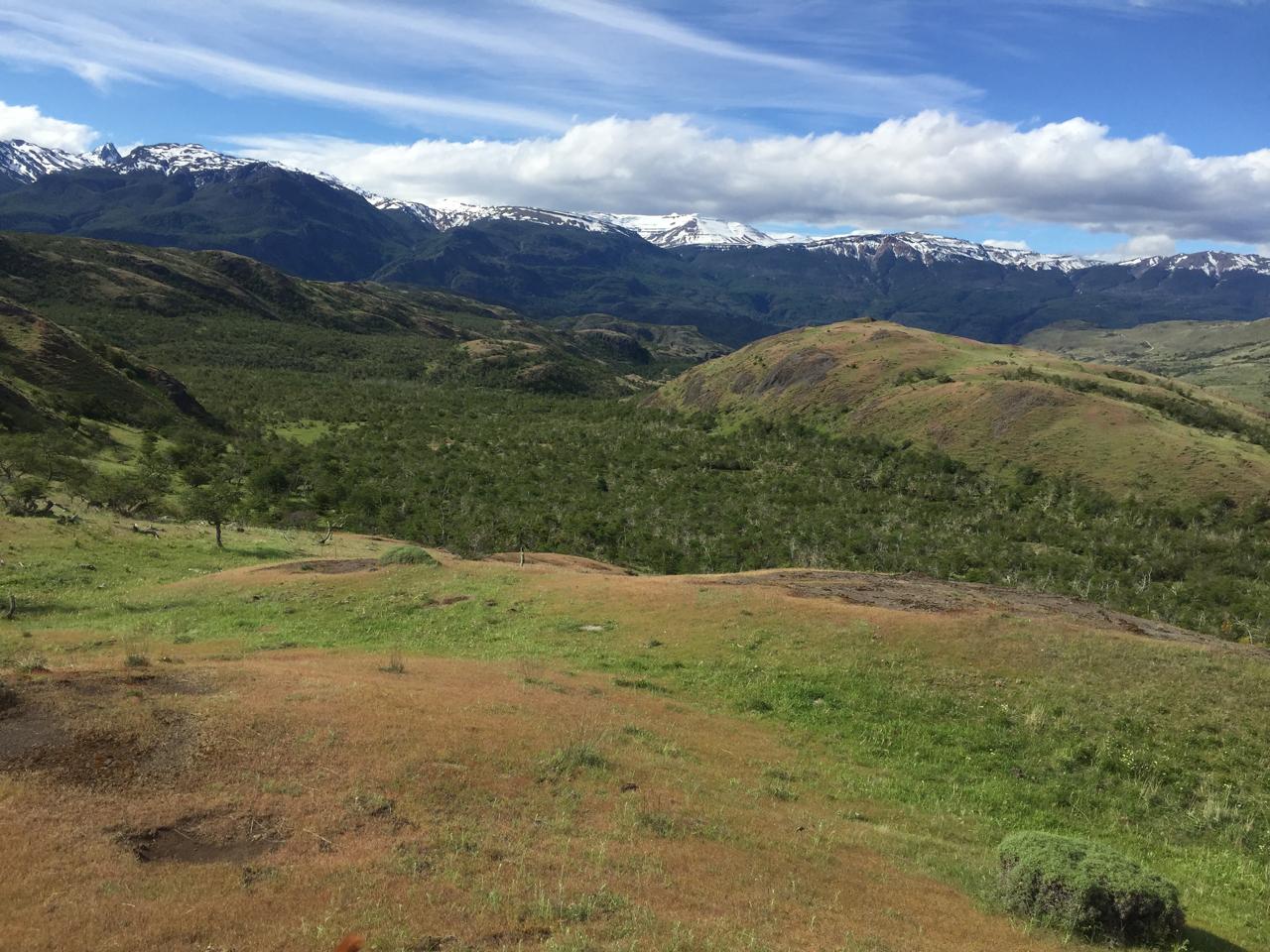 Cochrane | Campo de 121 ha, 900 metros Orilla de Río Baker