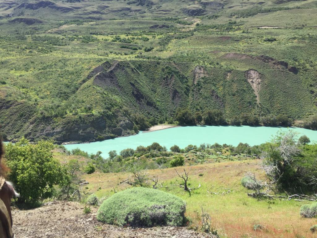 Cochrane | Campo de 121 ha, 900 metros Orilla de Río Baker