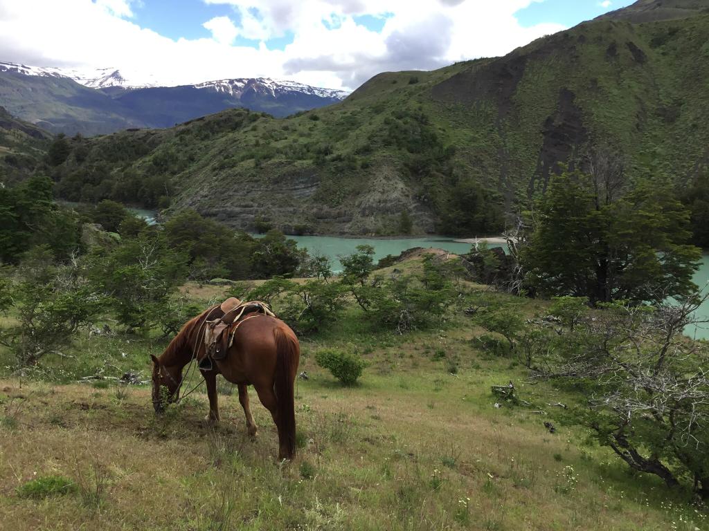 Cochrane | Campo de 121 ha, 900 metros Orilla de Río Baker