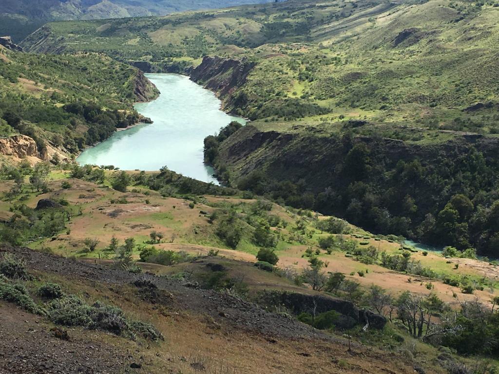 Cochrane | Campo de 121 ha, 900 metros Orilla de Río Baker