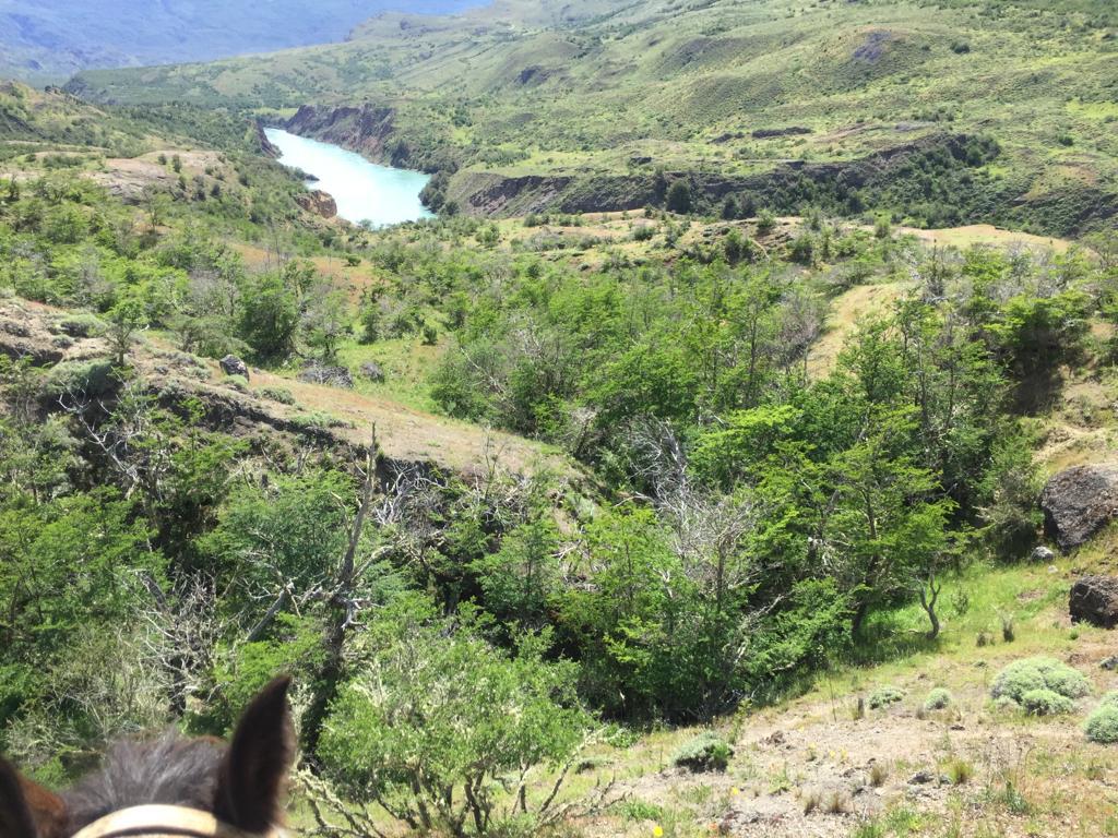 Cochrane | Campo de 121 ha, 900 metros Orilla de Río Baker