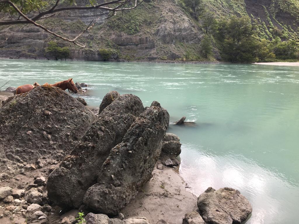 Cochrane | Campo de 121 ha, 900 metros Orilla de Río Baker