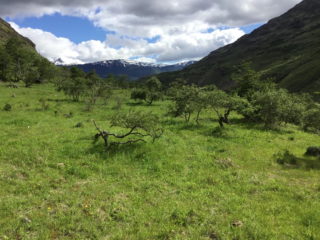 Cochrane | Campo de 121 ha, 900 metros Orilla de Río Baker