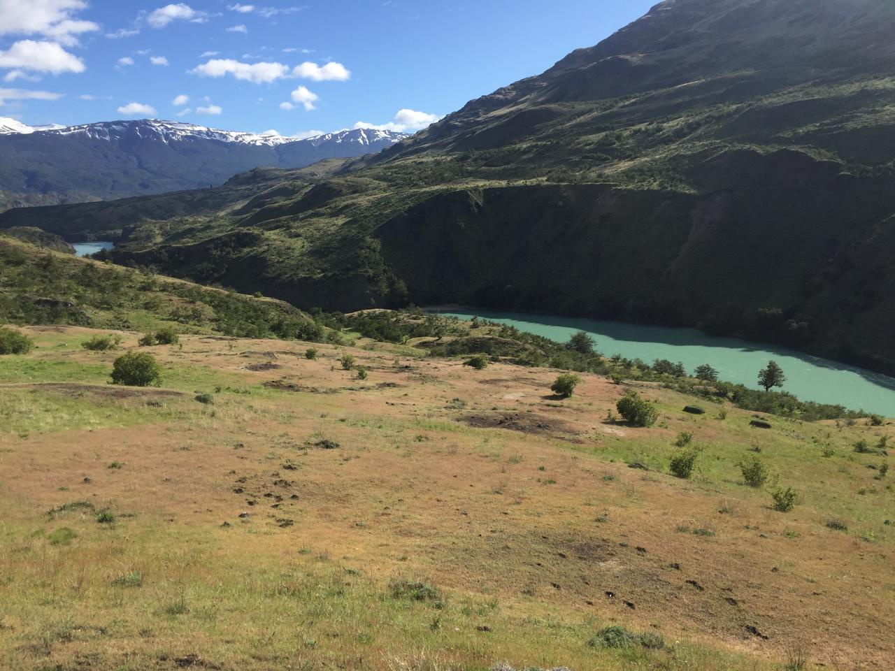 Cochrane | Campo de 121 ha, 900 metros Orilla de Río Baker