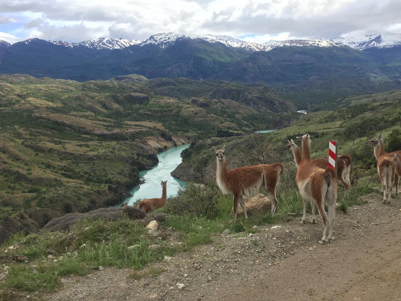 Cochrane | Campo de 121 ha, 900 metros Orilla de Río Baker