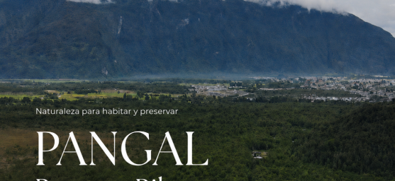 pangal 4