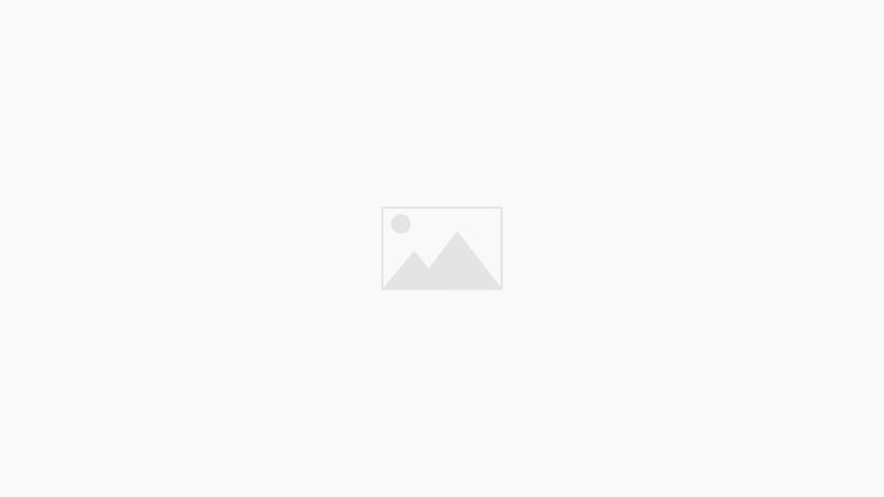 Buscan voluntarios para trabajar solo 30 horas a la semana: brindan hospedaje, comidas y excursiones gratuitas en la Patagonia chilena - Canal26