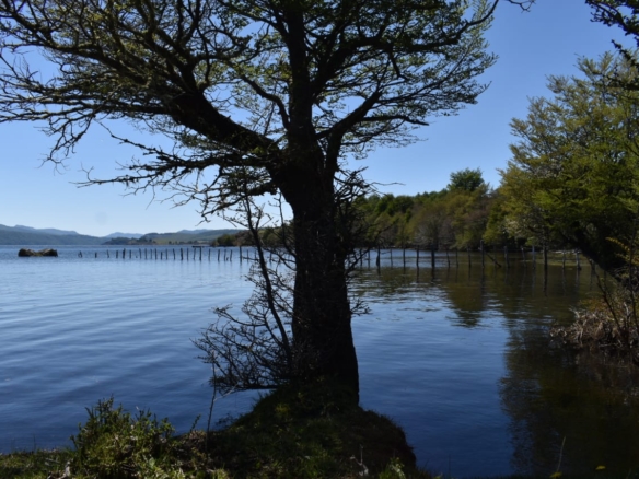 Coyhaique | Lago Pollux