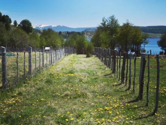 Coyhaique | Lago Pollux