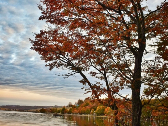 Coyhaique | Lago Pollux