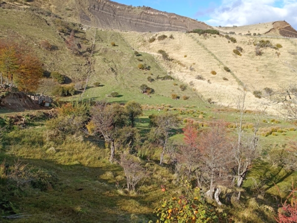 Coyhaique |  9.700 m2