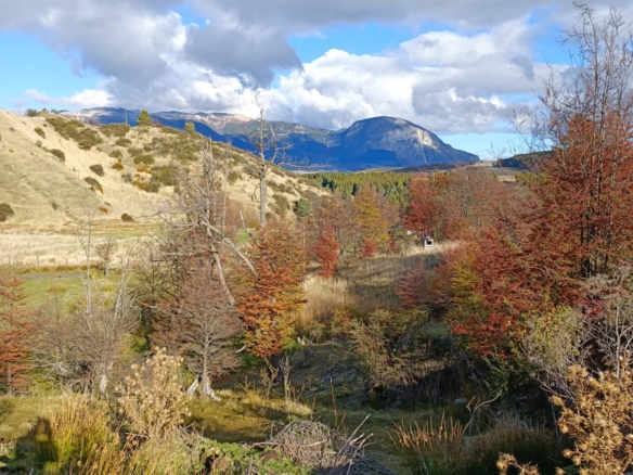 Coyhaique |  9.700 m2