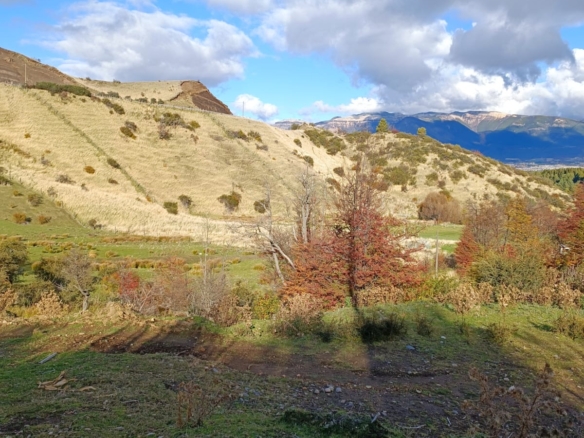 Coyhaique |  9.700 m2