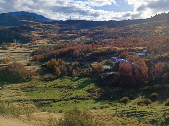 Coyhaique |  9.700 m2