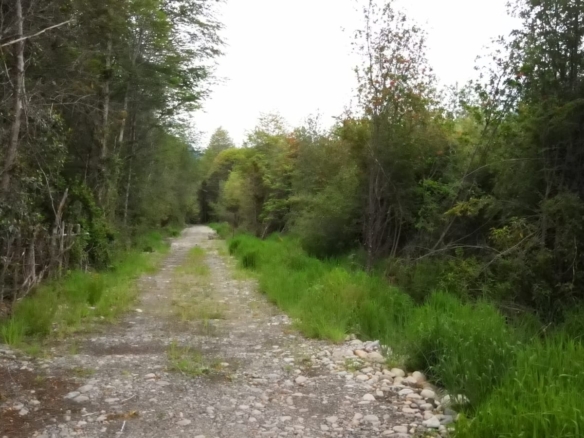 Puerto Aysén | 7.500 m2, en Pangal Reserva Ribera