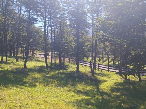 Coyhaique | Alta Vista