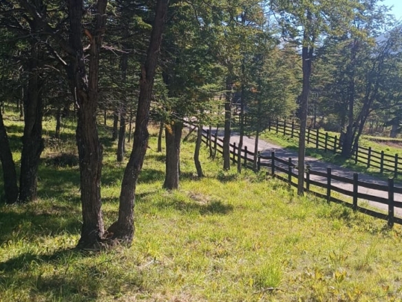 Coyhaique | Alta Vista