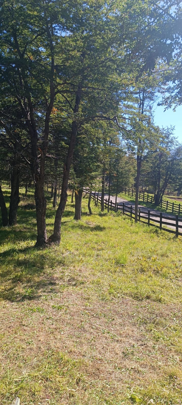 Coyhaique | Alta Vista