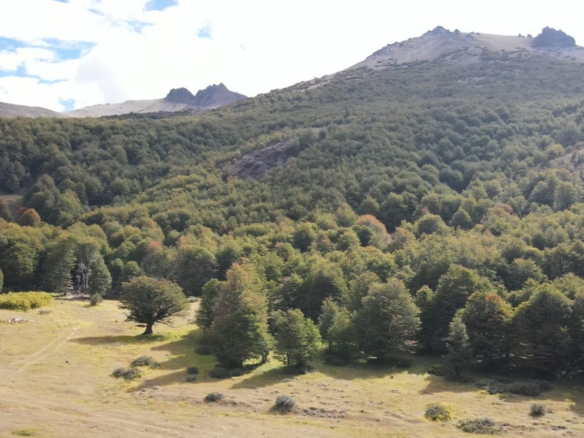 Camino Cerro Castillo | 3 ha colindan con PN Cerro Castillo