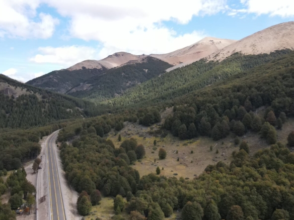 Camino Cerro Castillo | 3 ha colindan con PN Cerro Castillo
