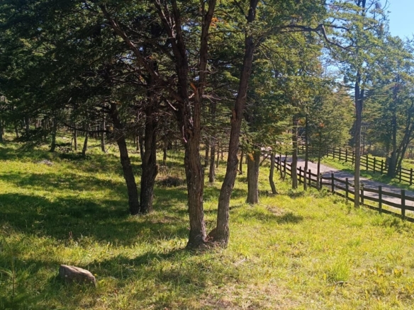 Coyhaique | Alta Vista