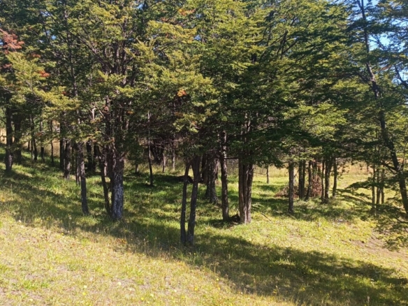 Coyhaique | Alta Vista