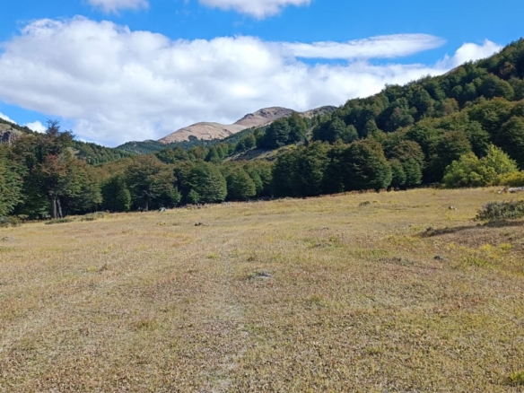 Camino Cerro Castillo | 3 ha colindan con PN Cerro Castillo