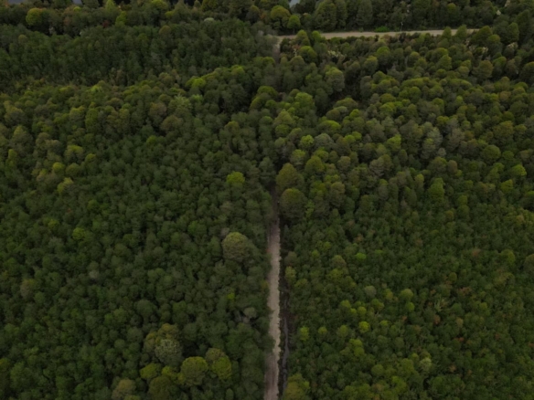 Puerto Aysén | 7.500 m2, en Pangal Reserva Ribera