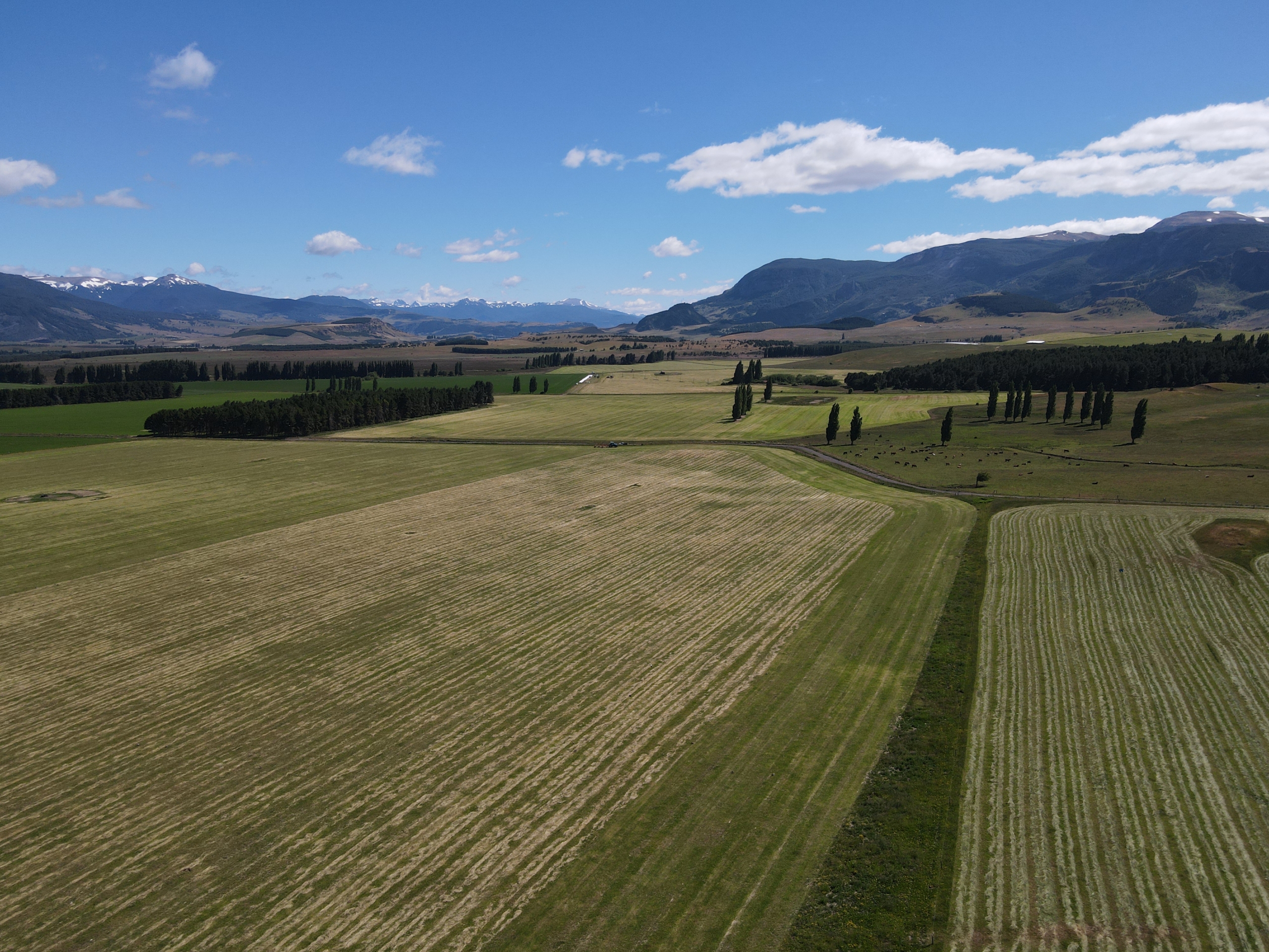 Coyhaique | Parcelas a 2 km de Valle Simpson