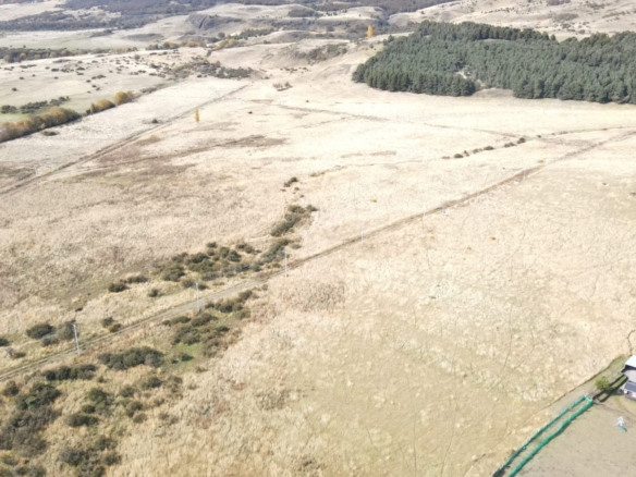 Coyhaique | km 8  ruta 243 – Coyhaique alto – 5.000 m2