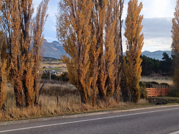 Coyhaique | km 8  ruta 243 – Coyhaique alto – 5.000 m2