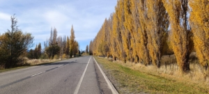Coyhaique | km 8  ruta 243 – Coyhaique alto – 5.000 m2