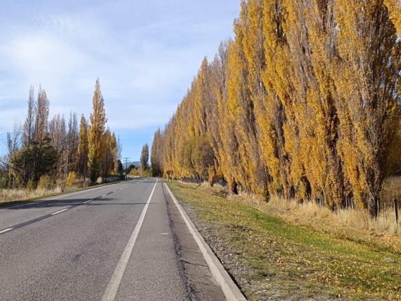 Coyhaique | km 8  ruta 243 – Coyhaique alto – 5.000 m2