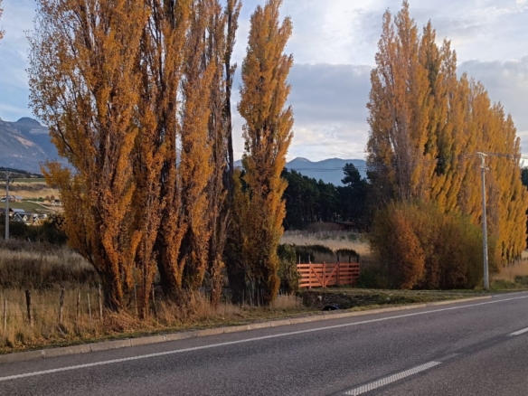 Coyhaique | km 8  ruta 243 – Coyhaique alto – 5.000 m2