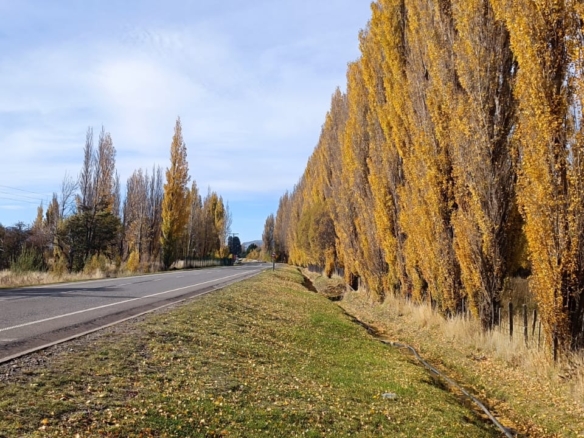 Coyhaique | km 8  ruta 243 – Coyhaique alto – 5.000 m2