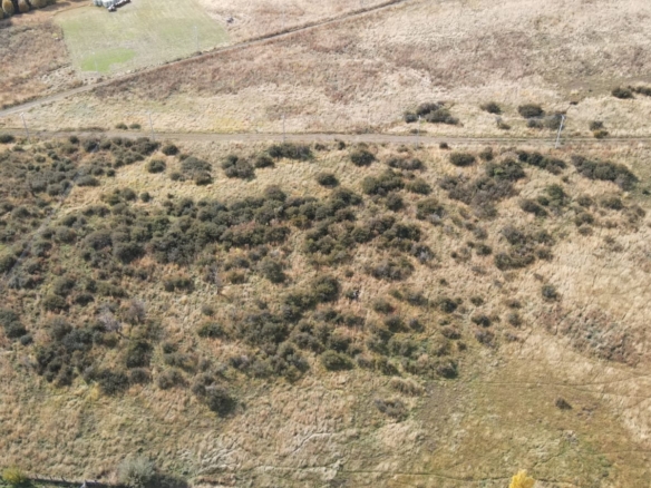 Coyhaique | km 8  ruta 243 – Coyhaique alto – 5.000 m2